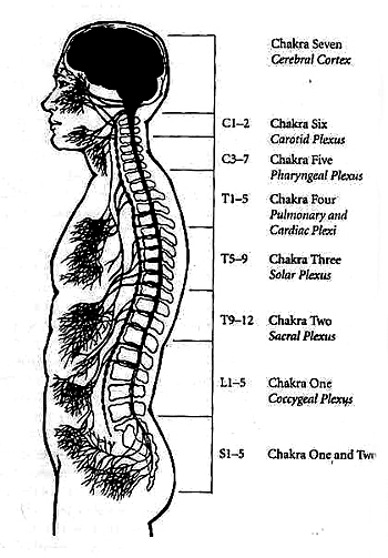 Chakras