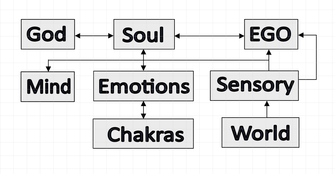 Block Diagram of the Brain