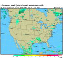 Hourly Rain Forecast
